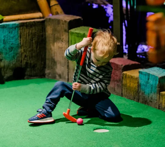 Treetop Golf Birmingham