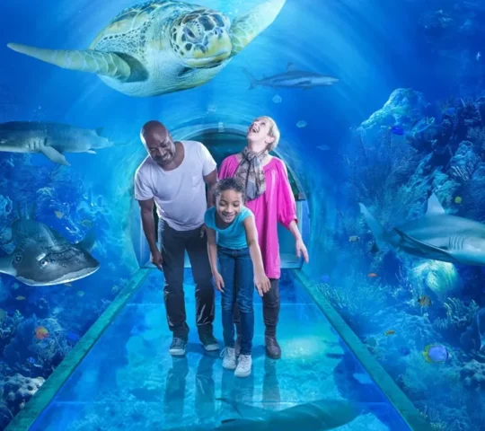 National Sea Life Centre Birmingham